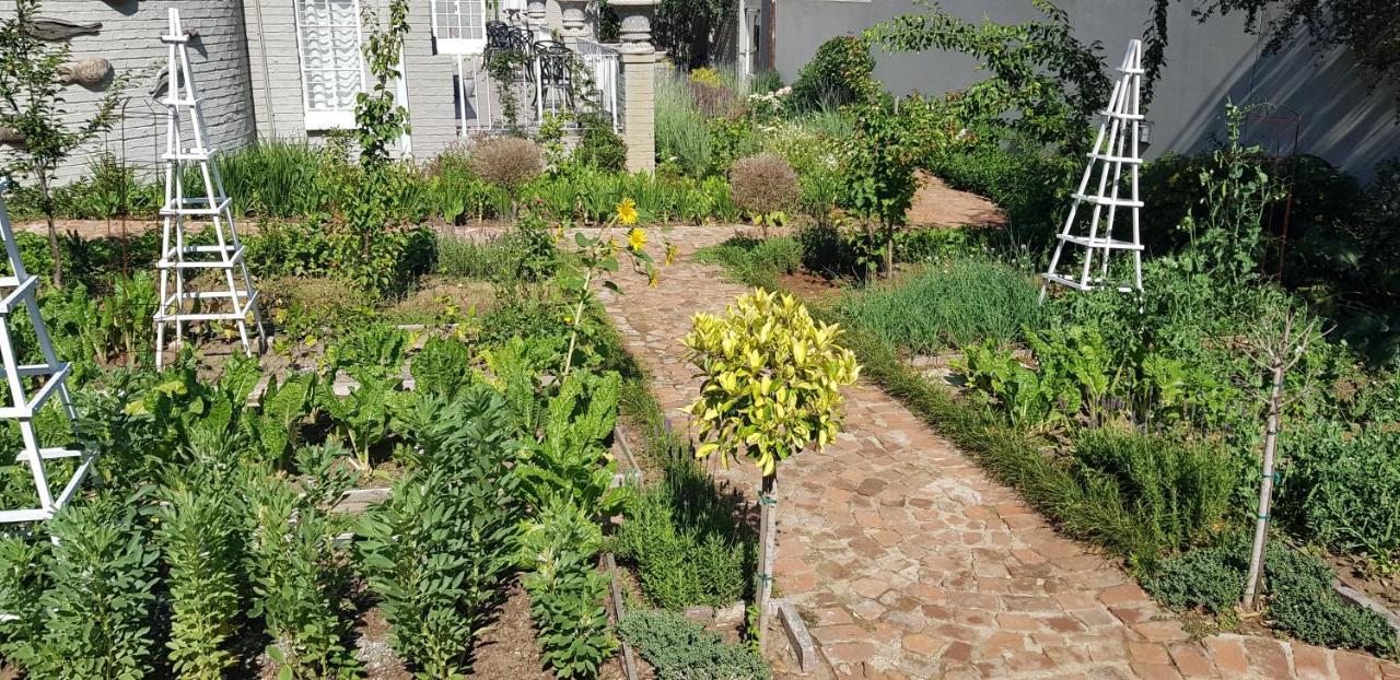 Villa Moi Johannesburg Exteriér fotografie
